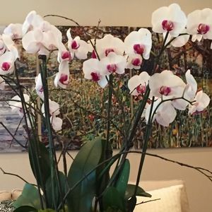 Meet your Posher, Nina